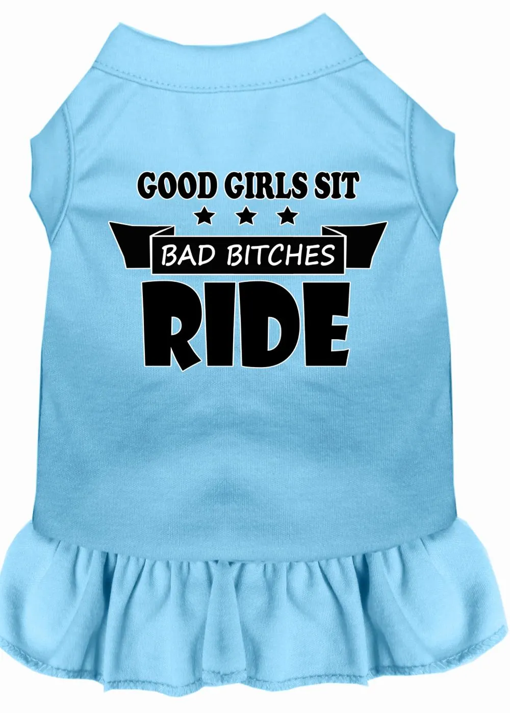 Bitches Ride Screen Print Dog Dress Baby Blue Lg (14)